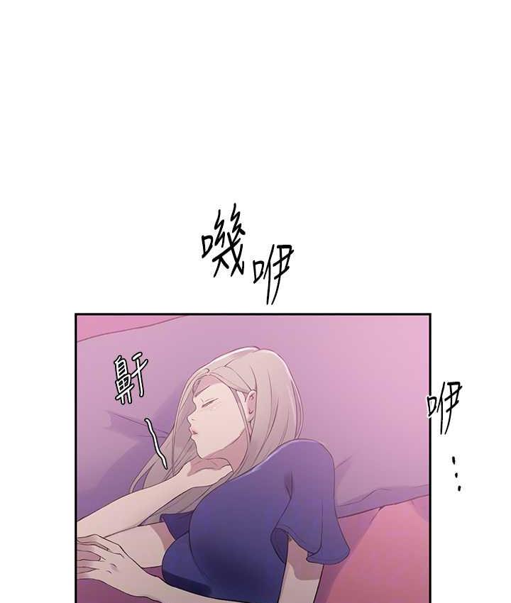 44P - 秘密教学