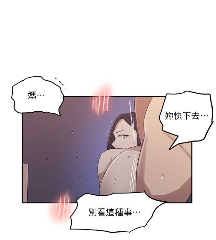 54P - 秘密教学