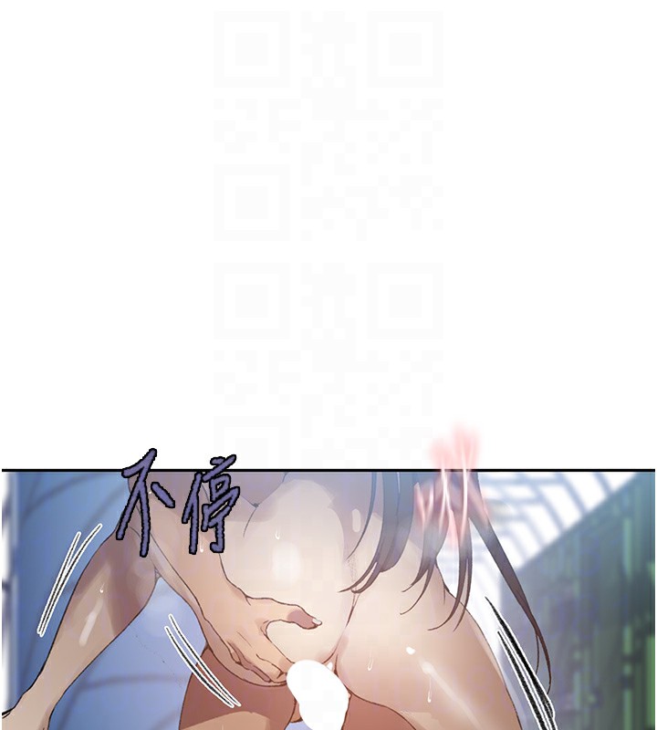 48P - 秘密教学