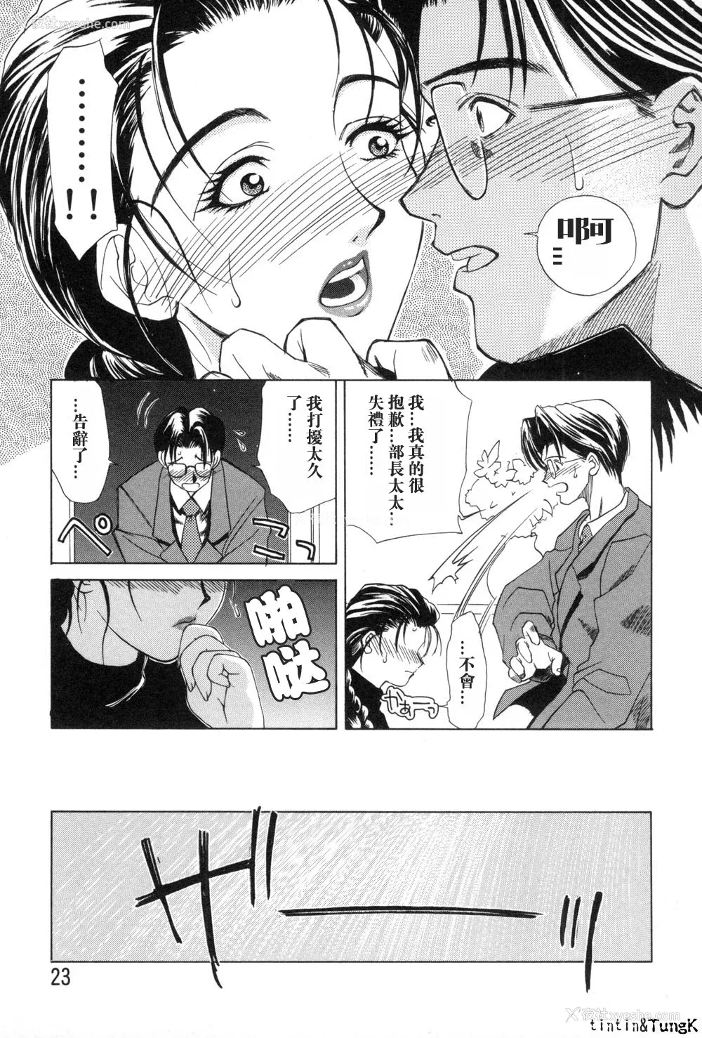 23P - [みやびつづる] 艶母 [中国翻訳]