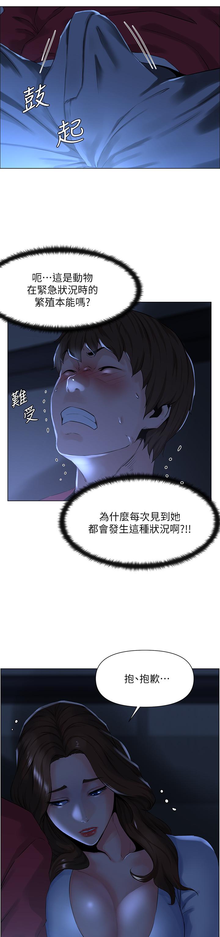 31P - 楼上的网美