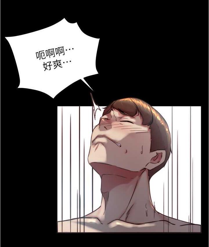 31P - 小裤裤笔记