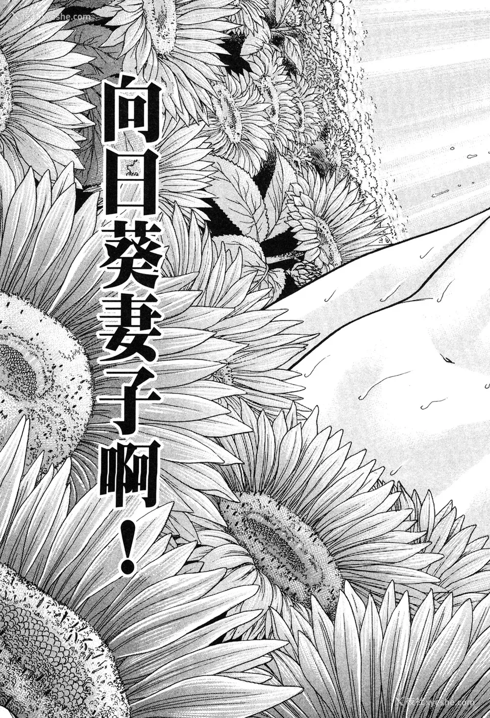 75P - [村生ミオ] 现代美人妻図鉴 [中国翻訳] [DL版]