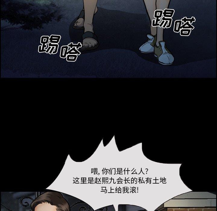 43P - 委托人