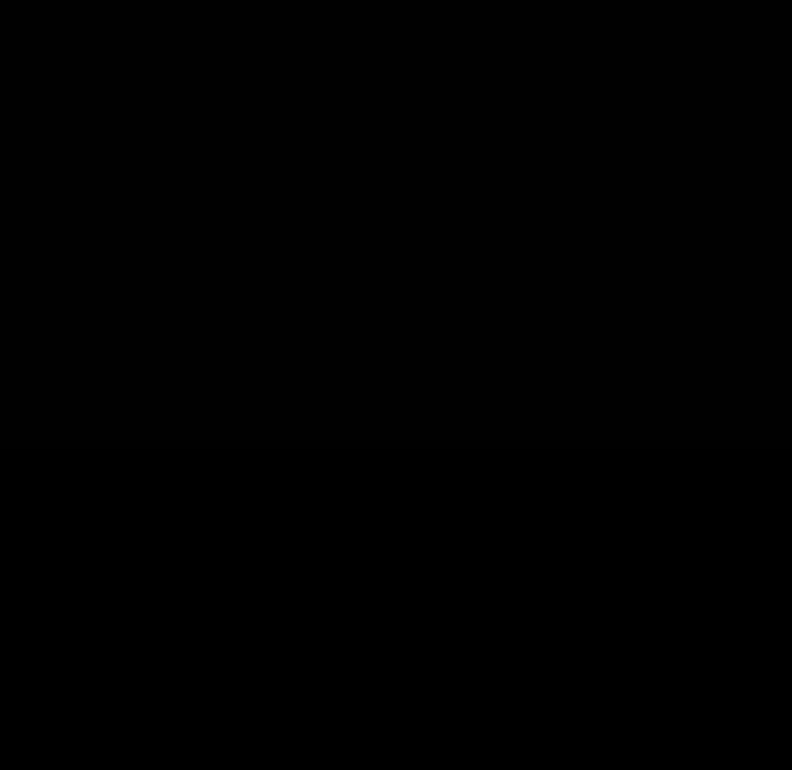 35P - 委托人
