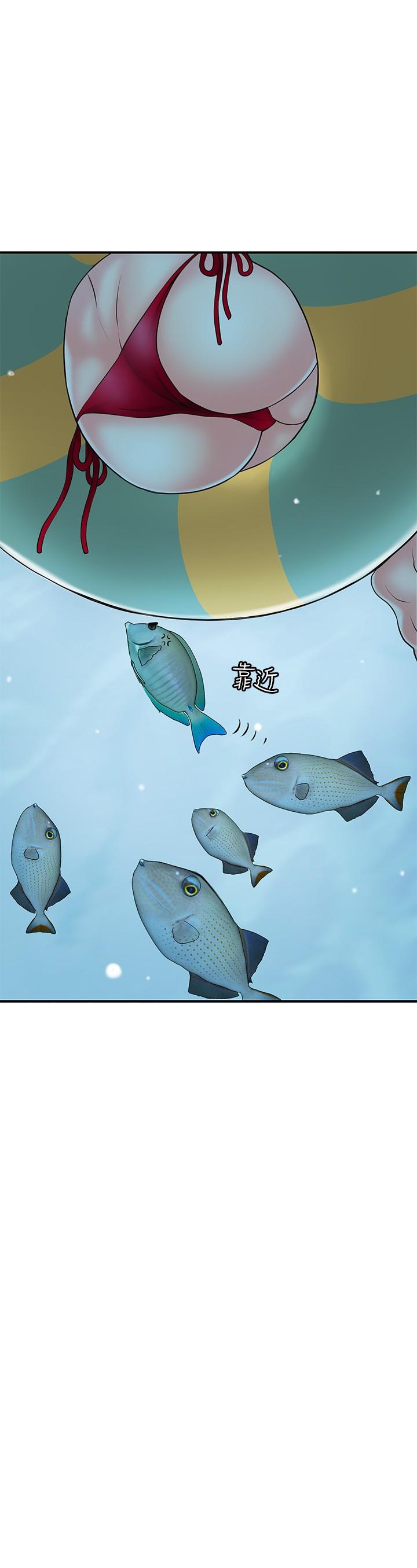 19P - 幸福督市