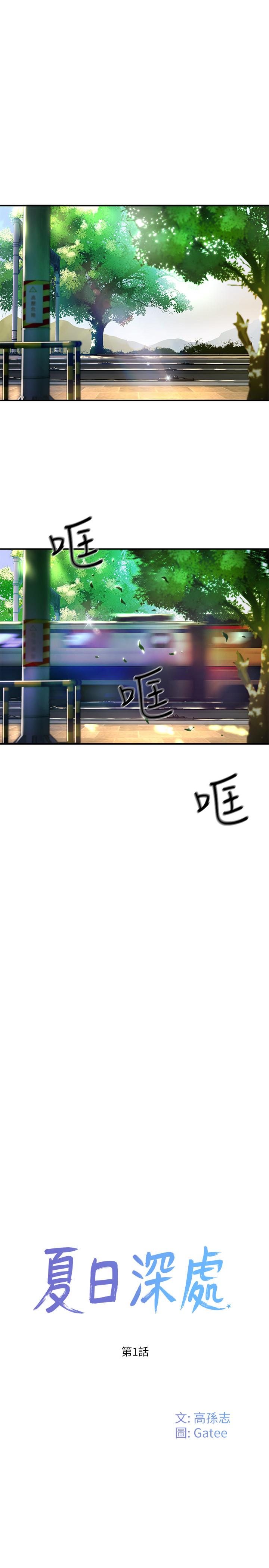 11P - 夏日深处