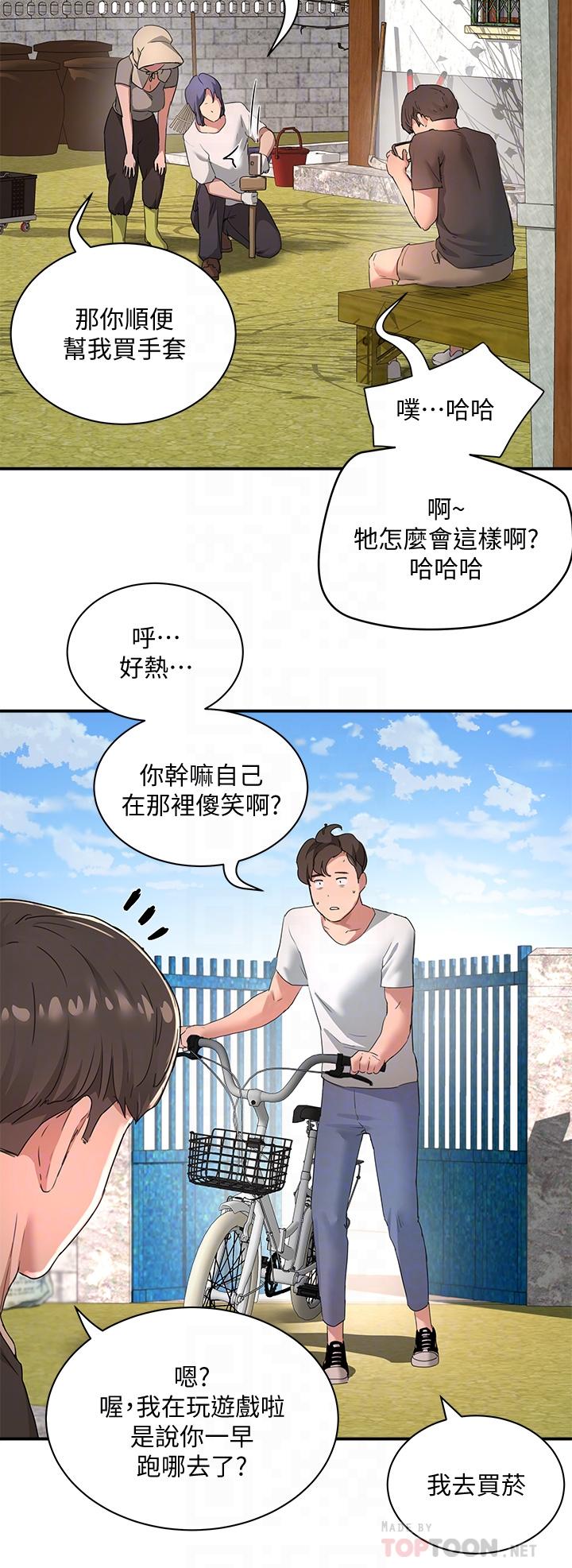 14P - 夏日深处