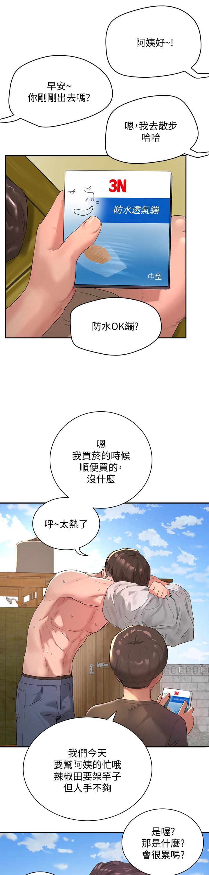 15P - 夏日深处