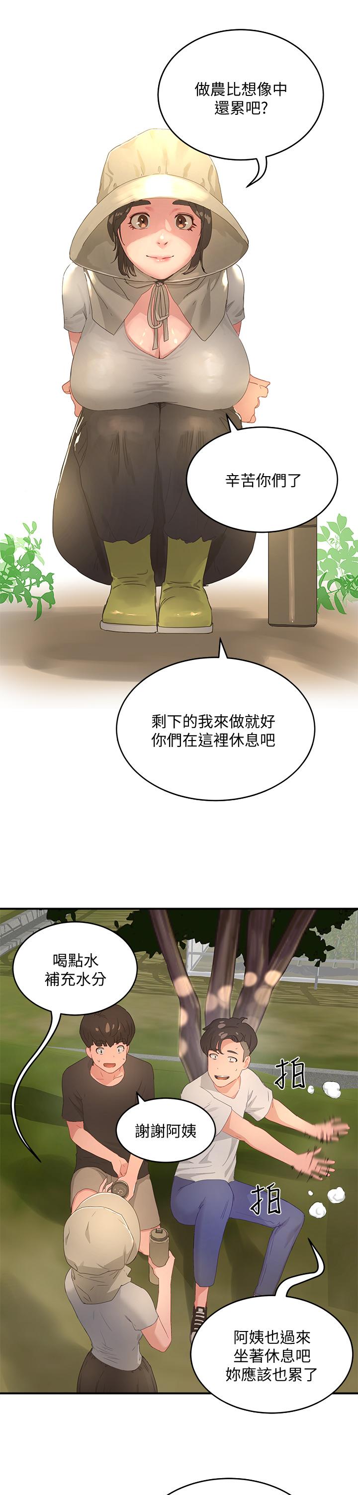 24P - 夏日深处