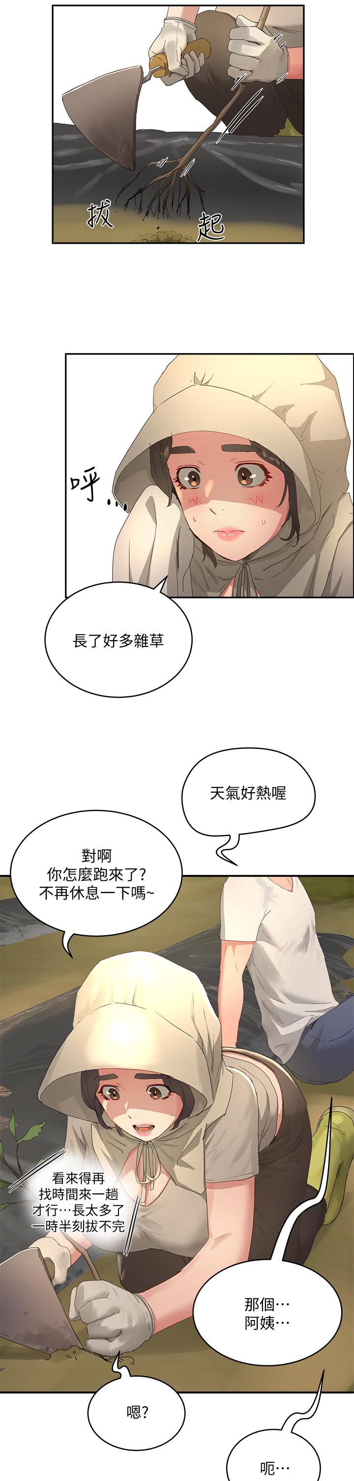 31P - 夏日深处