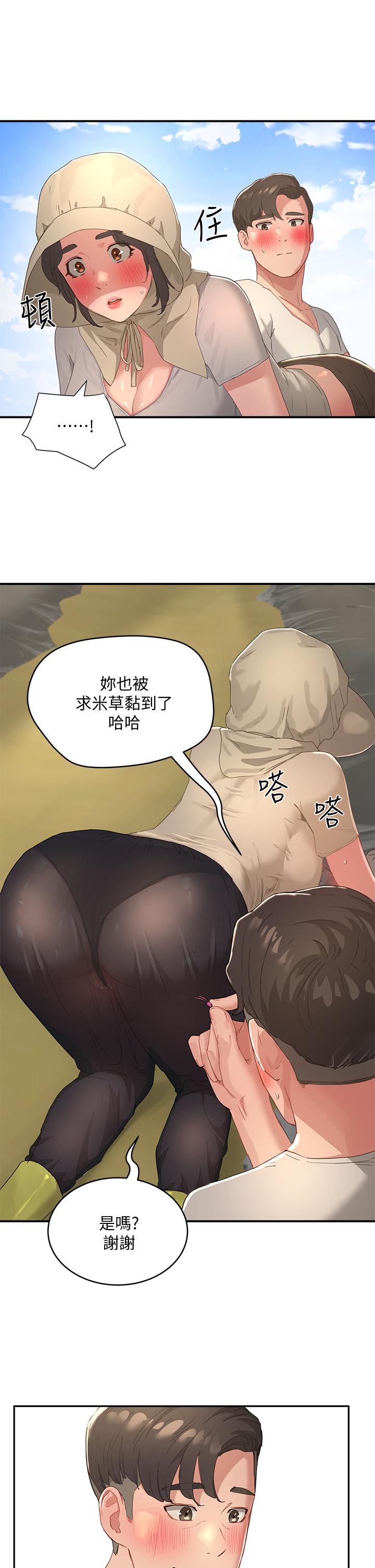 33P - 夏日深处