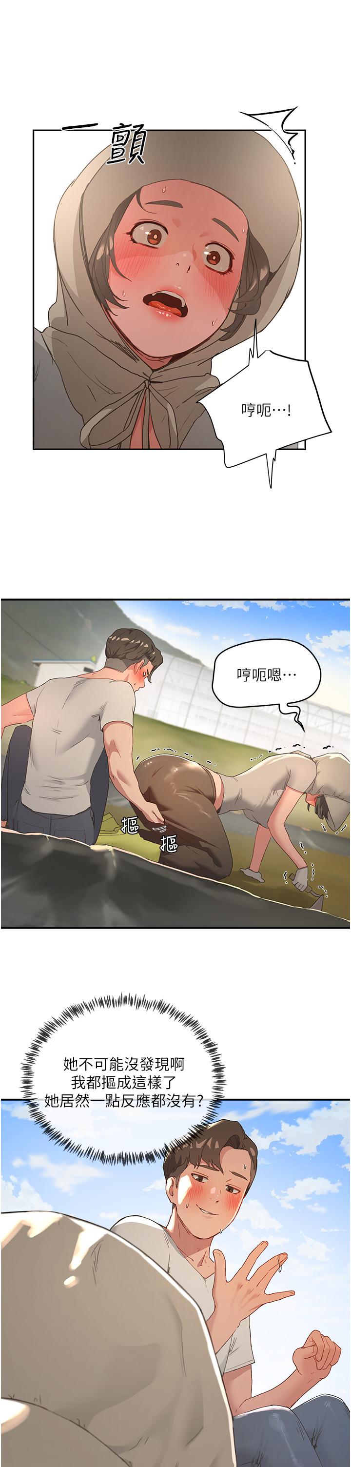 2P - 夏日深处