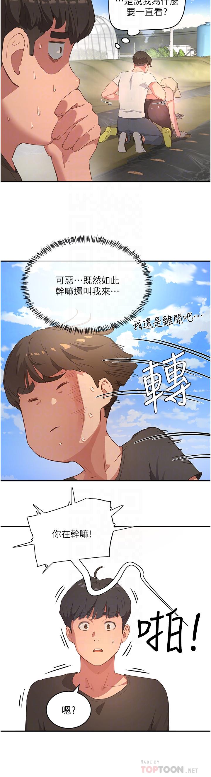 8P - 夏日深处