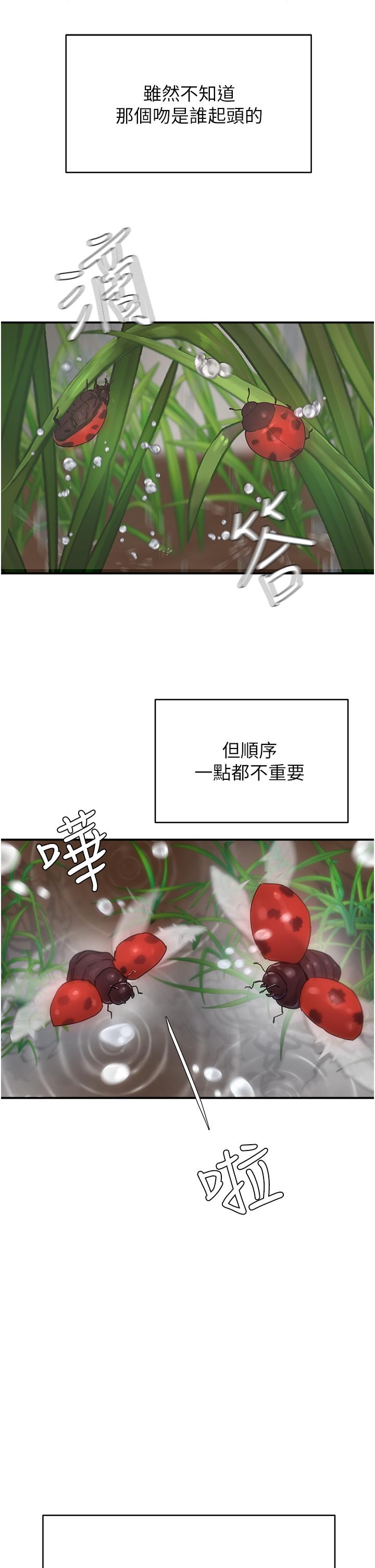 24P - 夏日深处