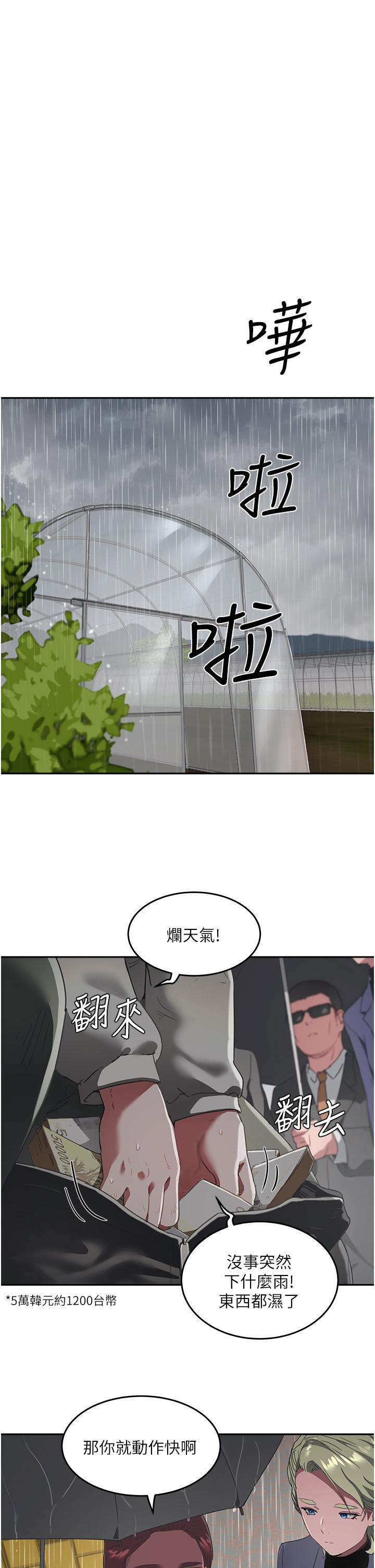1P - 夏日深处