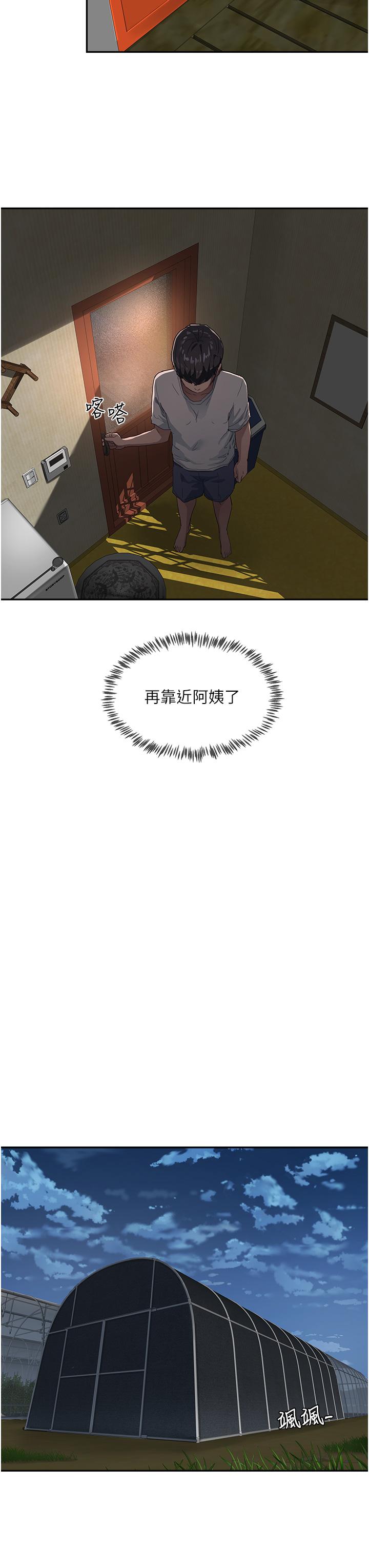26P - 夏日深处
