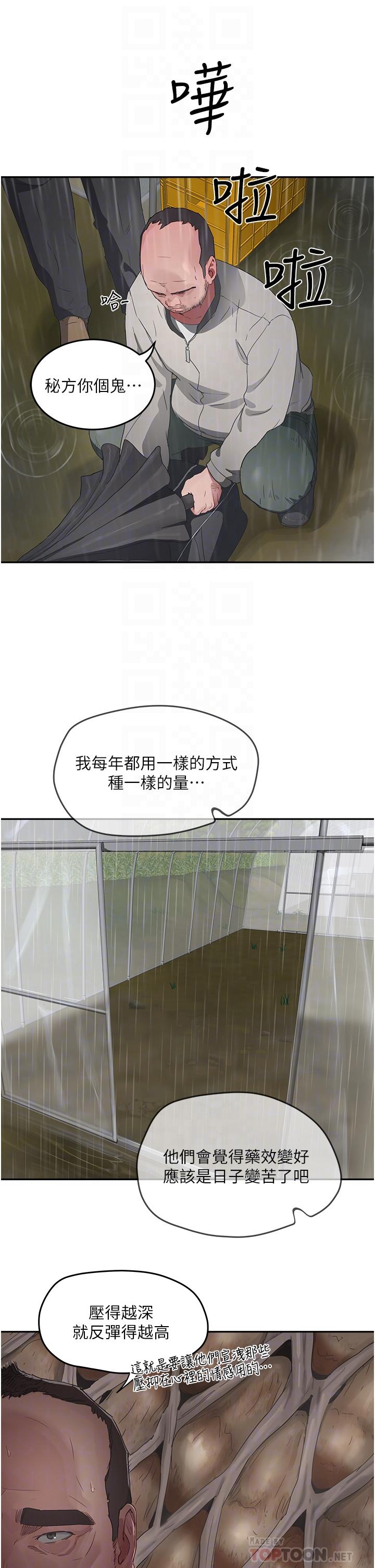 4P - 夏日深处
