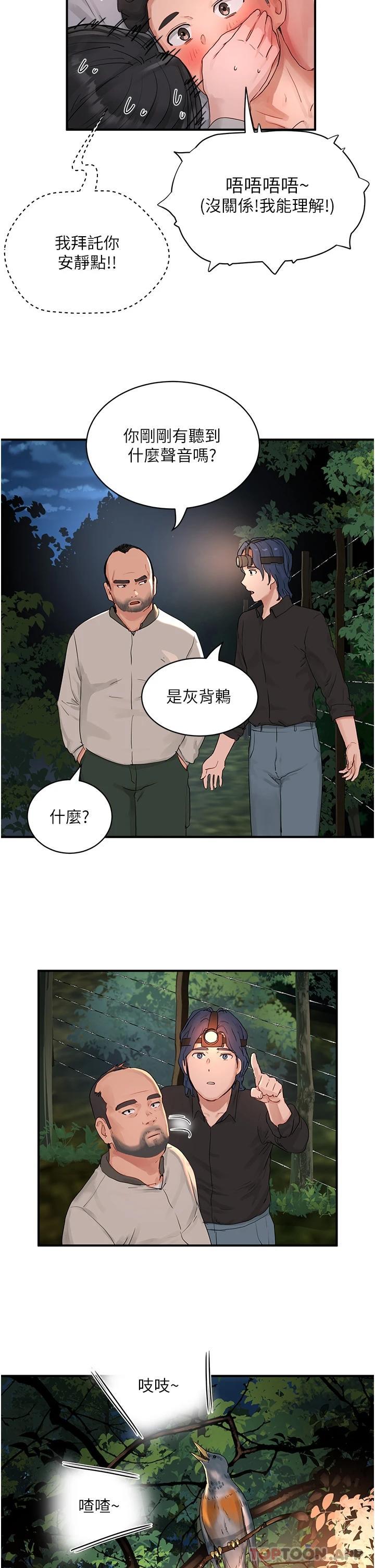 15P - 夏日深处