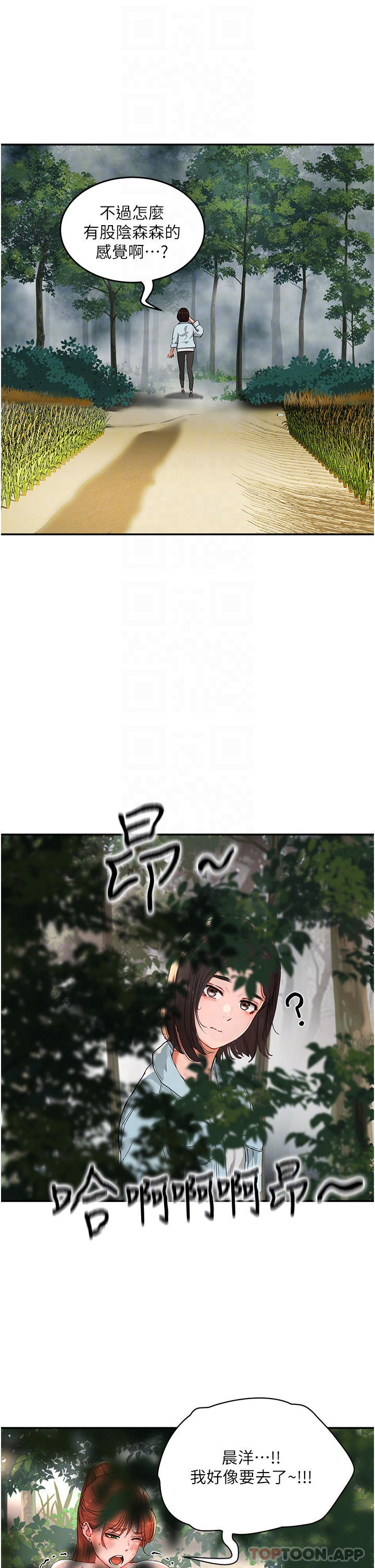 26P - 夏日深处