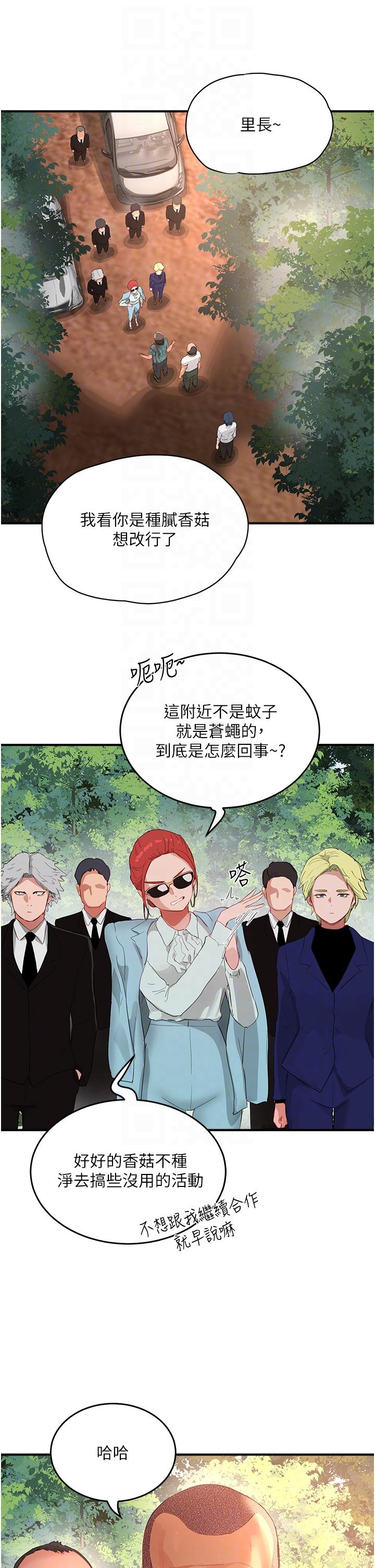 18P - 夏日深处