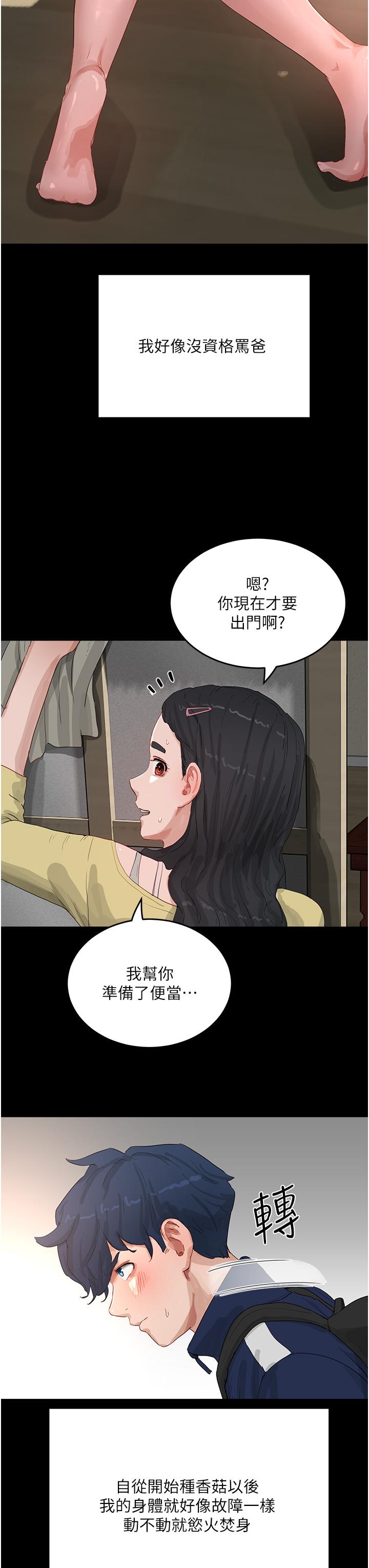17P - 夏日深处