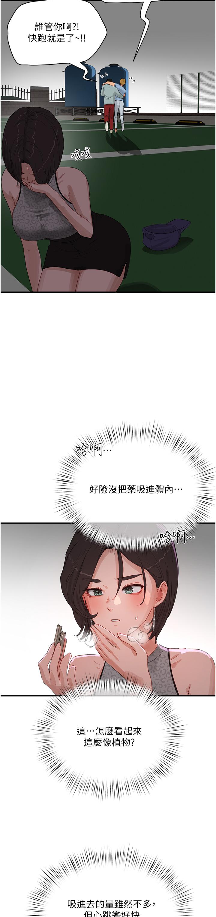 16P - 夏日深处