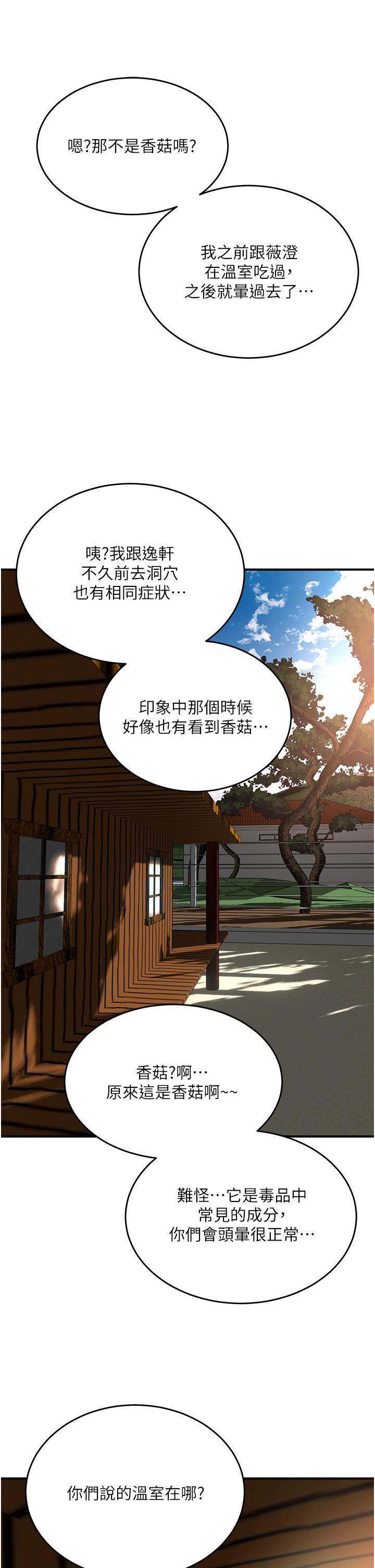 16P - 夏日深处