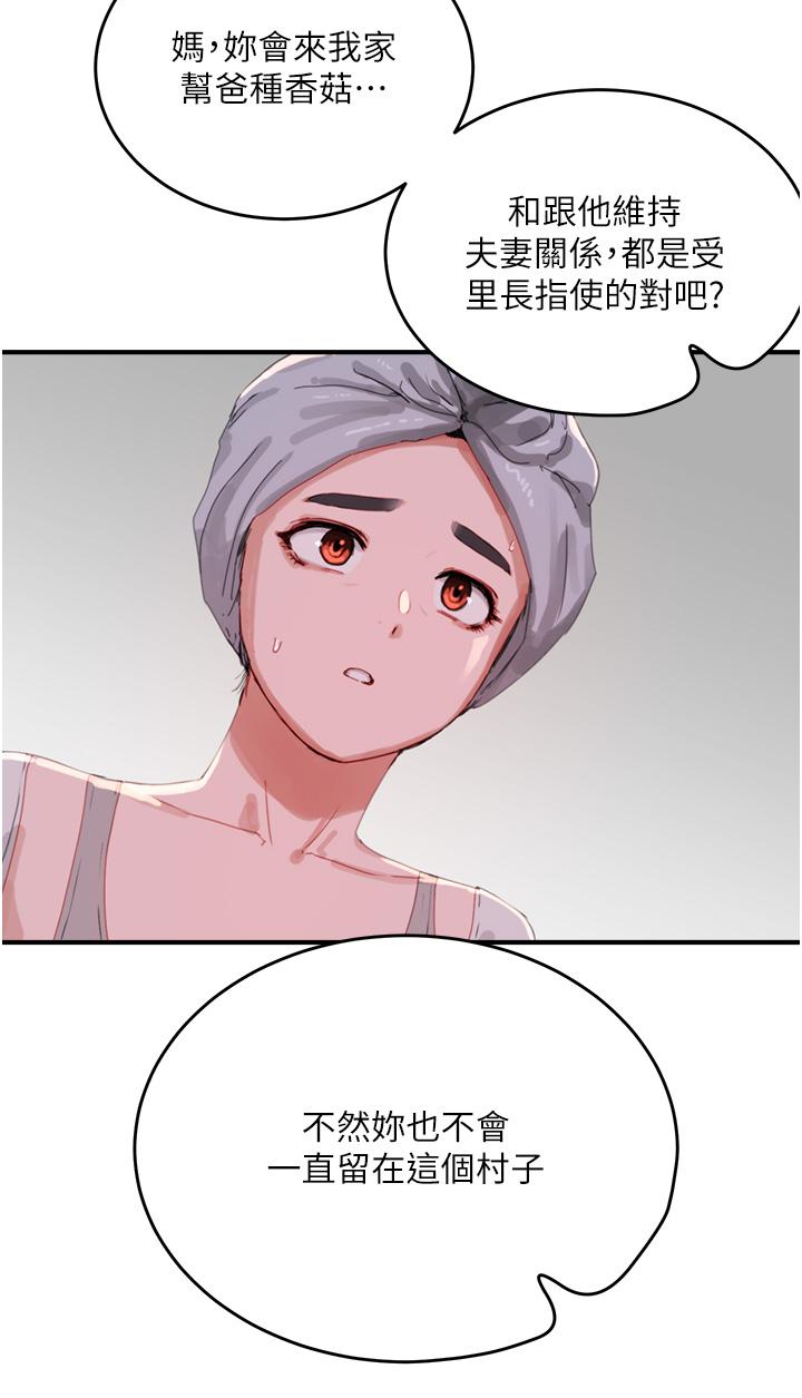 4P - 夏日深处