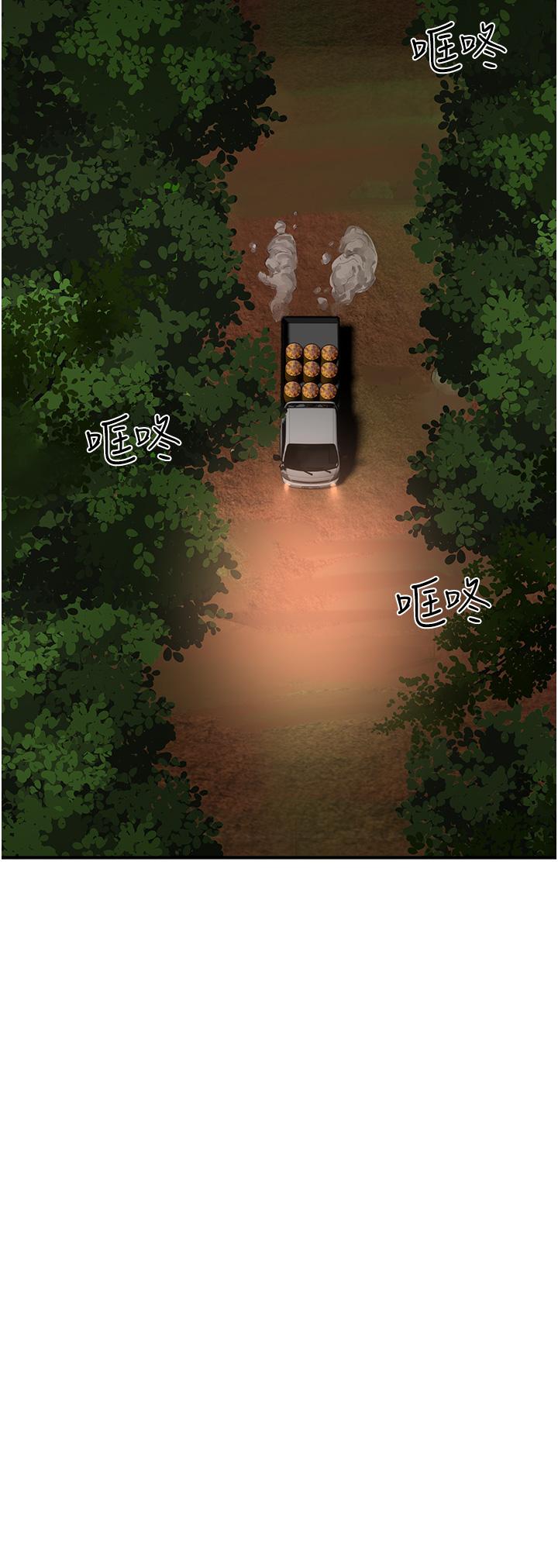25P - 夏日深处
