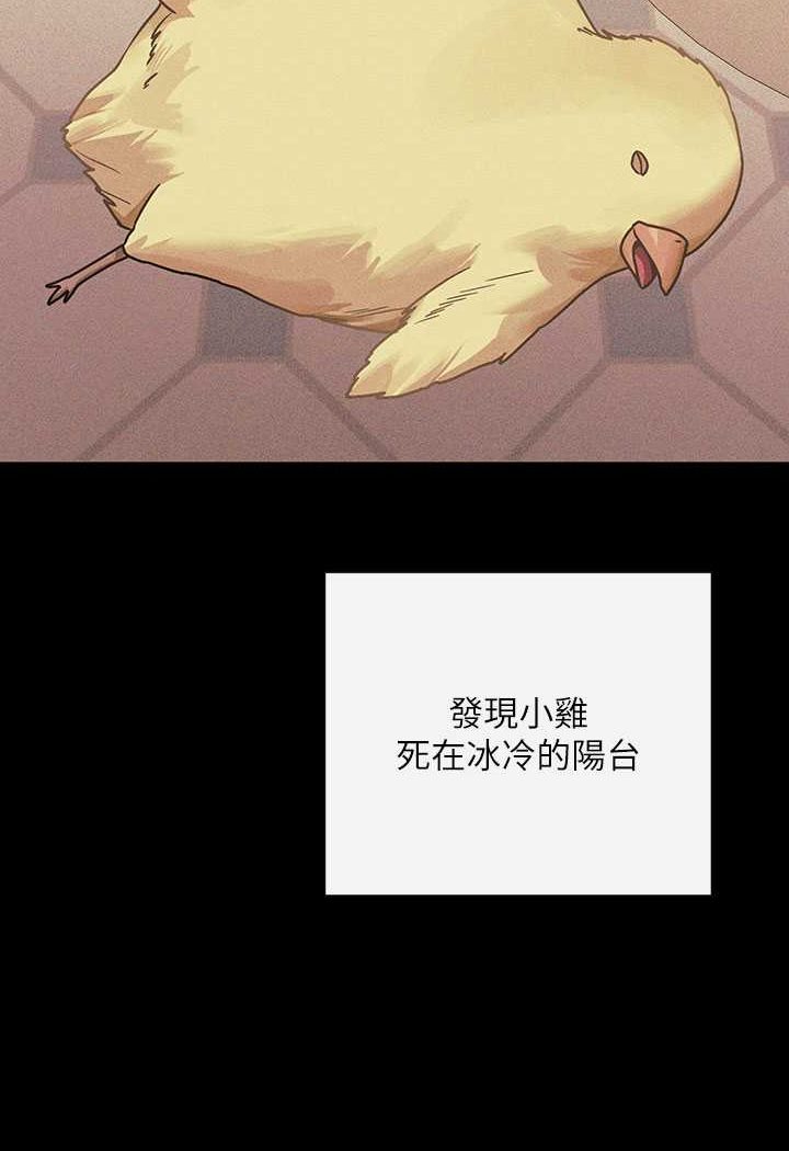 2P - 富家女姐姐