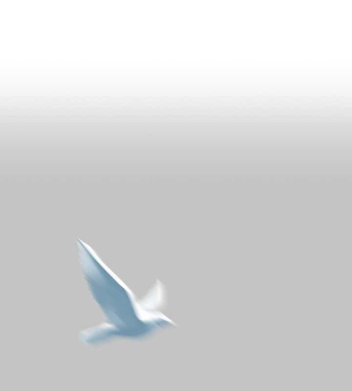 1P - 富家女姐姐