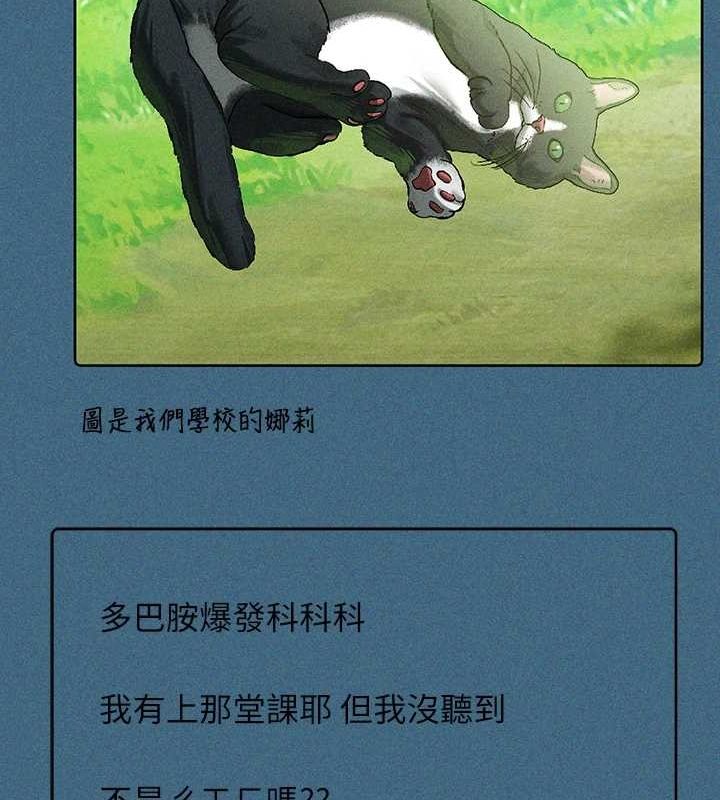 72P - 富家女姐姐
