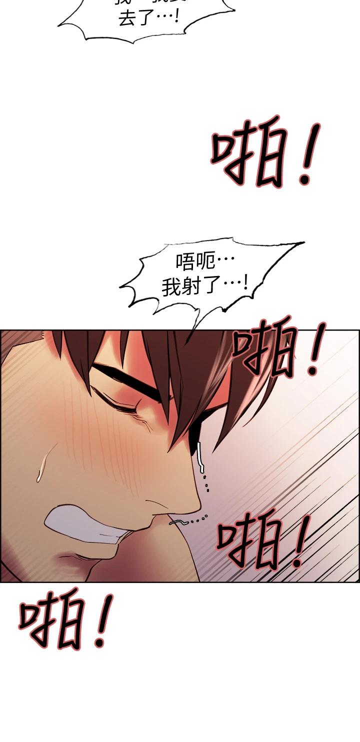 31P - 室友招募中