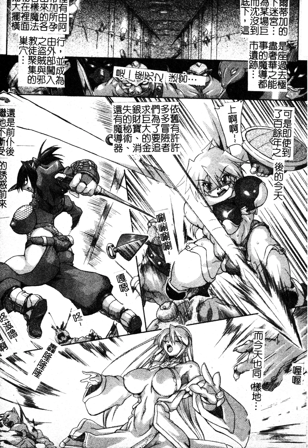 4P - [TAKE] ブレイブメイデン 奸淫散华 [中文]