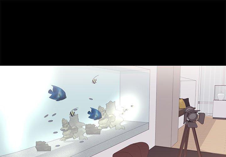 1P - OL蜜巢