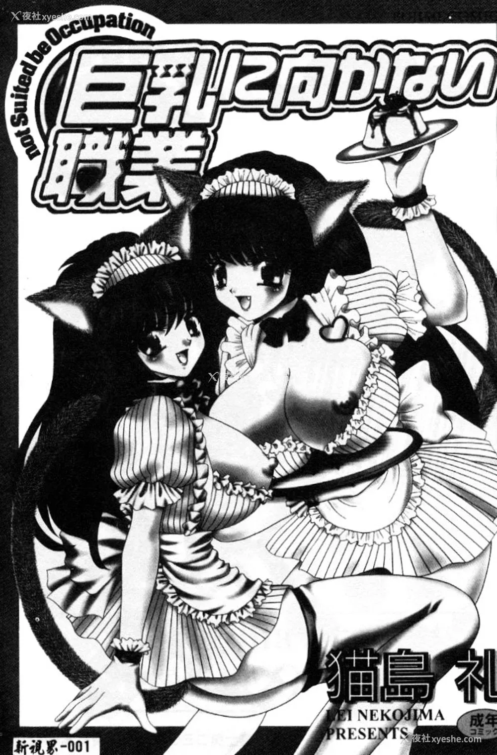 2P - [猫岛礼] 巨乳に向かない职业 [中漫]