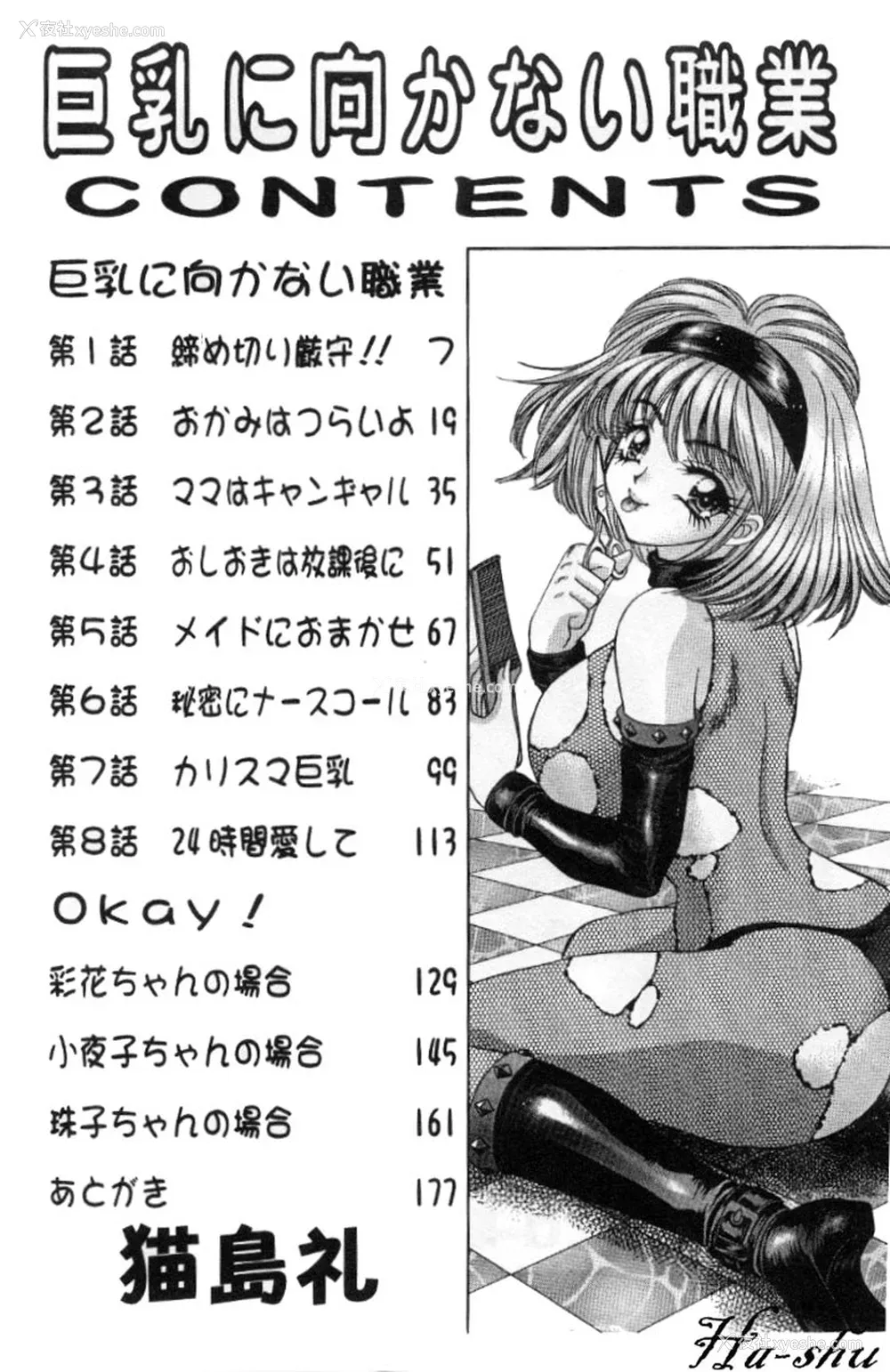 3P - [猫岛礼] 巨乳に向かない职业 [中漫]