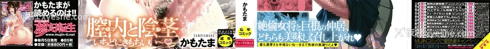 3P - [かもたま] ふたなり女将の生ハメ繁盛记 [没有汉化] [去圣光]