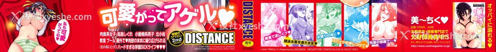 2P - [DISTANCE] HHH トリプルエッチ♥ [地精&ACGfan汉化] [无修正]