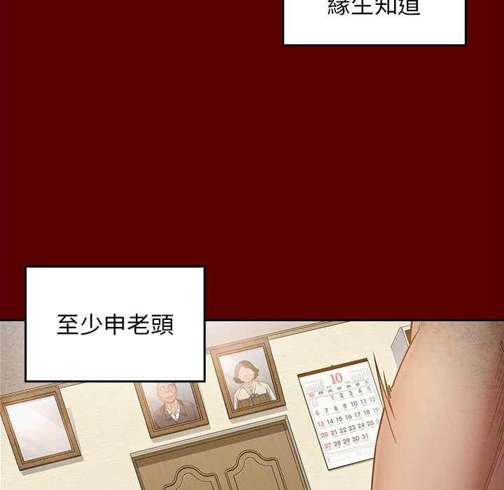 56P - 桃花