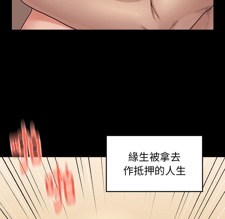 144P - 桃花