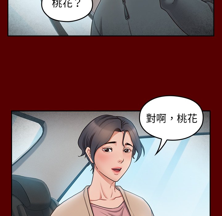 70P - 桃花