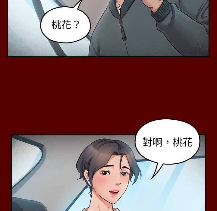 7P - 桃花