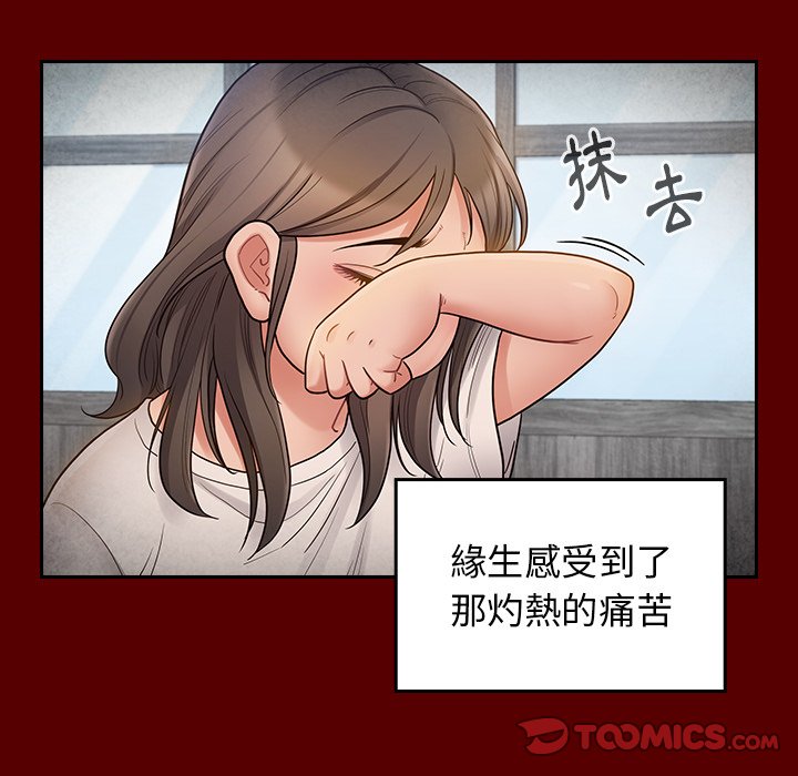 33P - 桃花