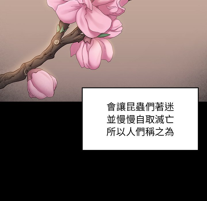 9P - 桃花