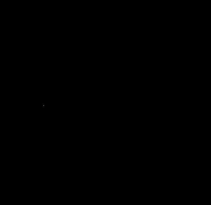 116P - 桃花