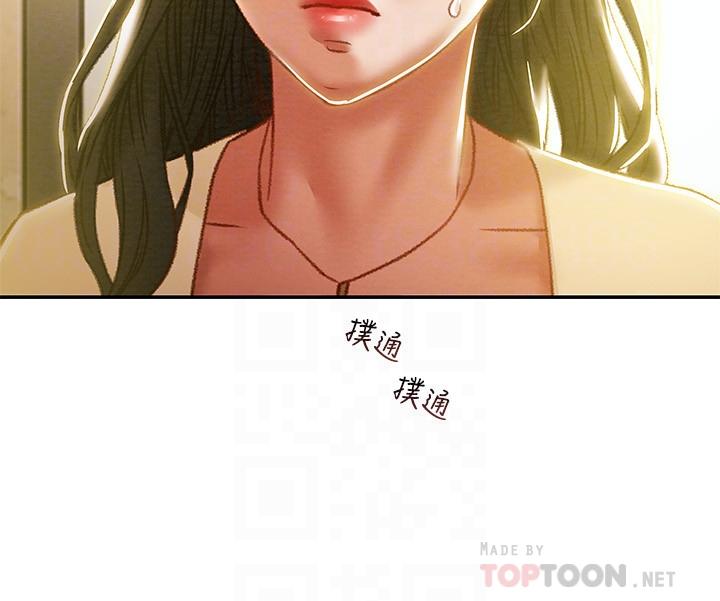 14P - 纯情女攻略计划