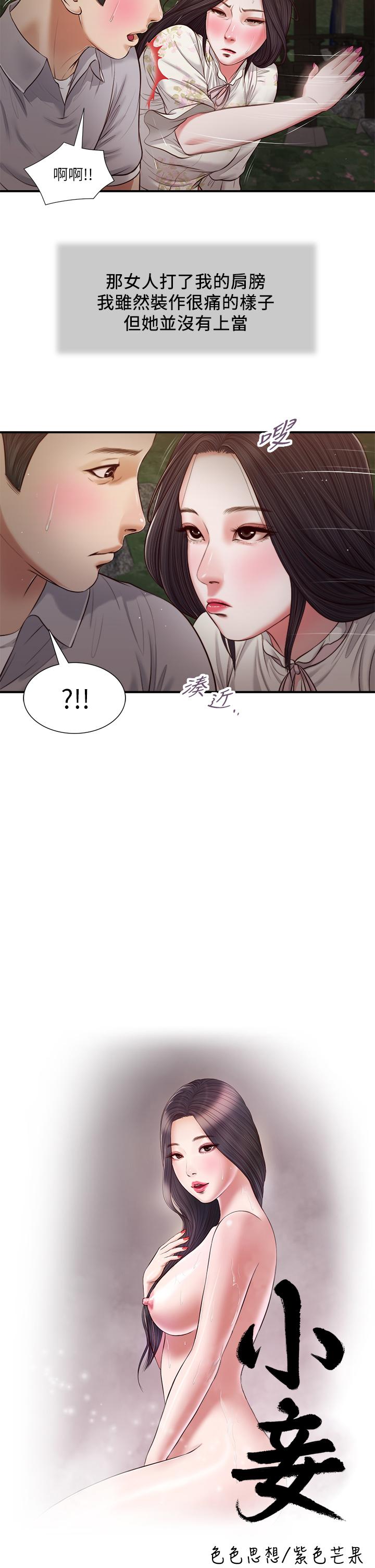 3P - 小妾