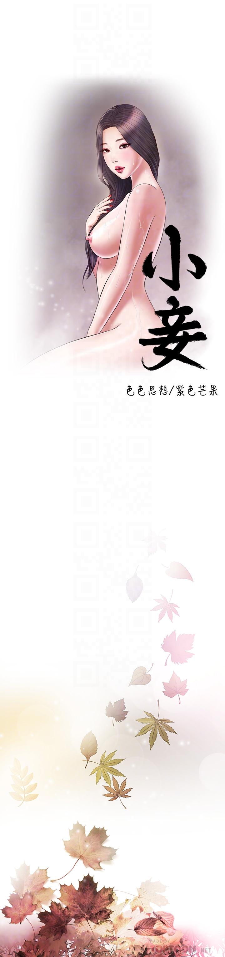 14P - 小妾